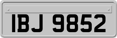 IBJ9852