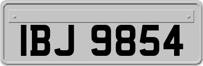 IBJ9854