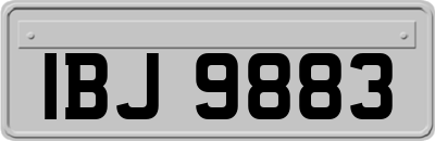 IBJ9883