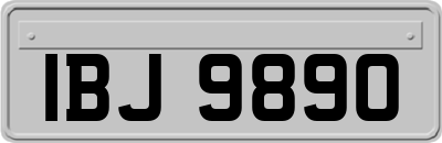 IBJ9890