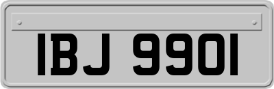 IBJ9901