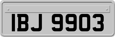 IBJ9903