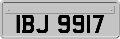 IBJ9917