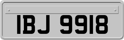 IBJ9918