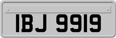 IBJ9919