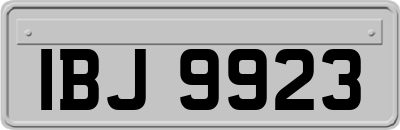 IBJ9923