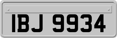 IBJ9934