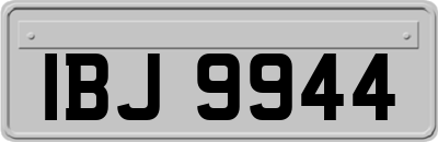 IBJ9944