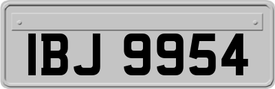 IBJ9954