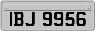 IBJ9956