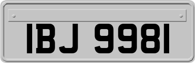 IBJ9981