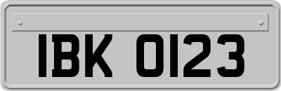 IBK0123