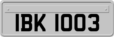 IBK1003