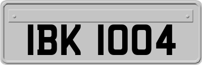 IBK1004