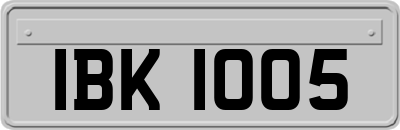 IBK1005