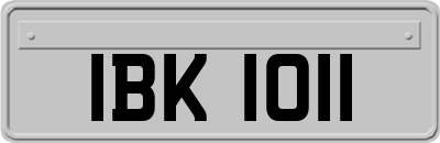 IBK1011