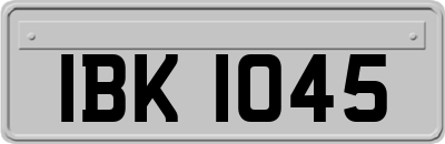 IBK1045