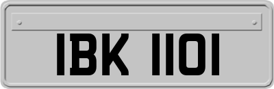 IBK1101