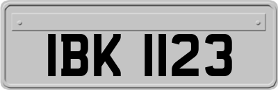 IBK1123