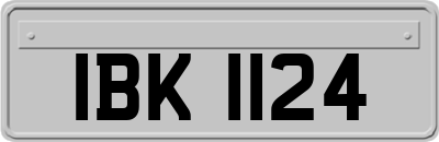 IBK1124