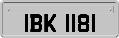 IBK1181