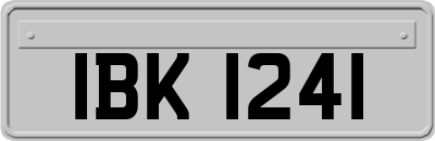 IBK1241