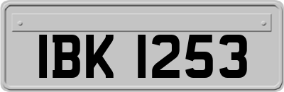 IBK1253