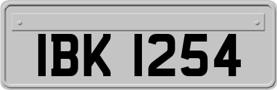 IBK1254