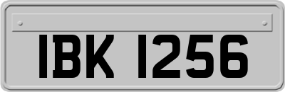 IBK1256