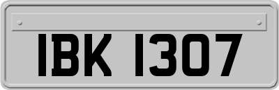 IBK1307