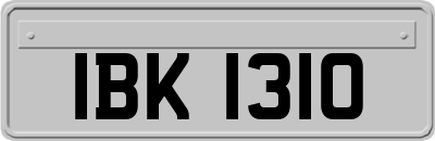 IBK1310