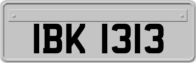 IBK1313