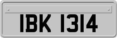 IBK1314