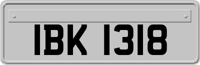 IBK1318