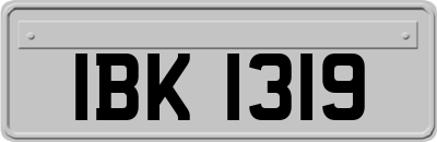 IBK1319