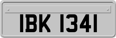 IBK1341