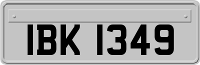 IBK1349