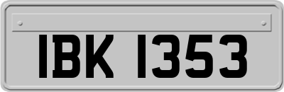 IBK1353