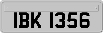 IBK1356