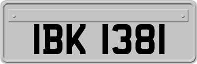 IBK1381