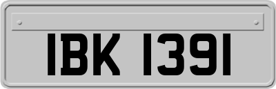 IBK1391