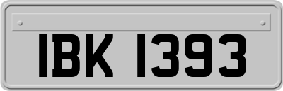 IBK1393