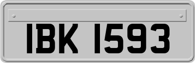 IBK1593