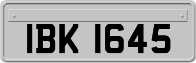 IBK1645