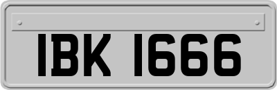 IBK1666