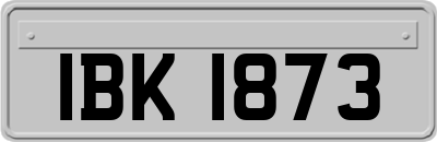 IBK1873