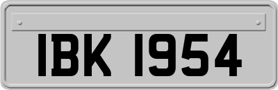 IBK1954