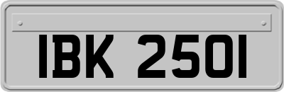 IBK2501