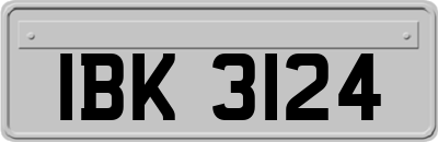 IBK3124