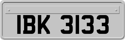 IBK3133